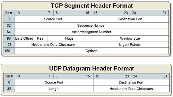 tcp vs udp header
