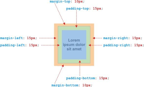 Minh họa margin và padding