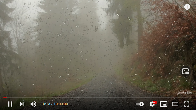 Trình xem video của Youtube