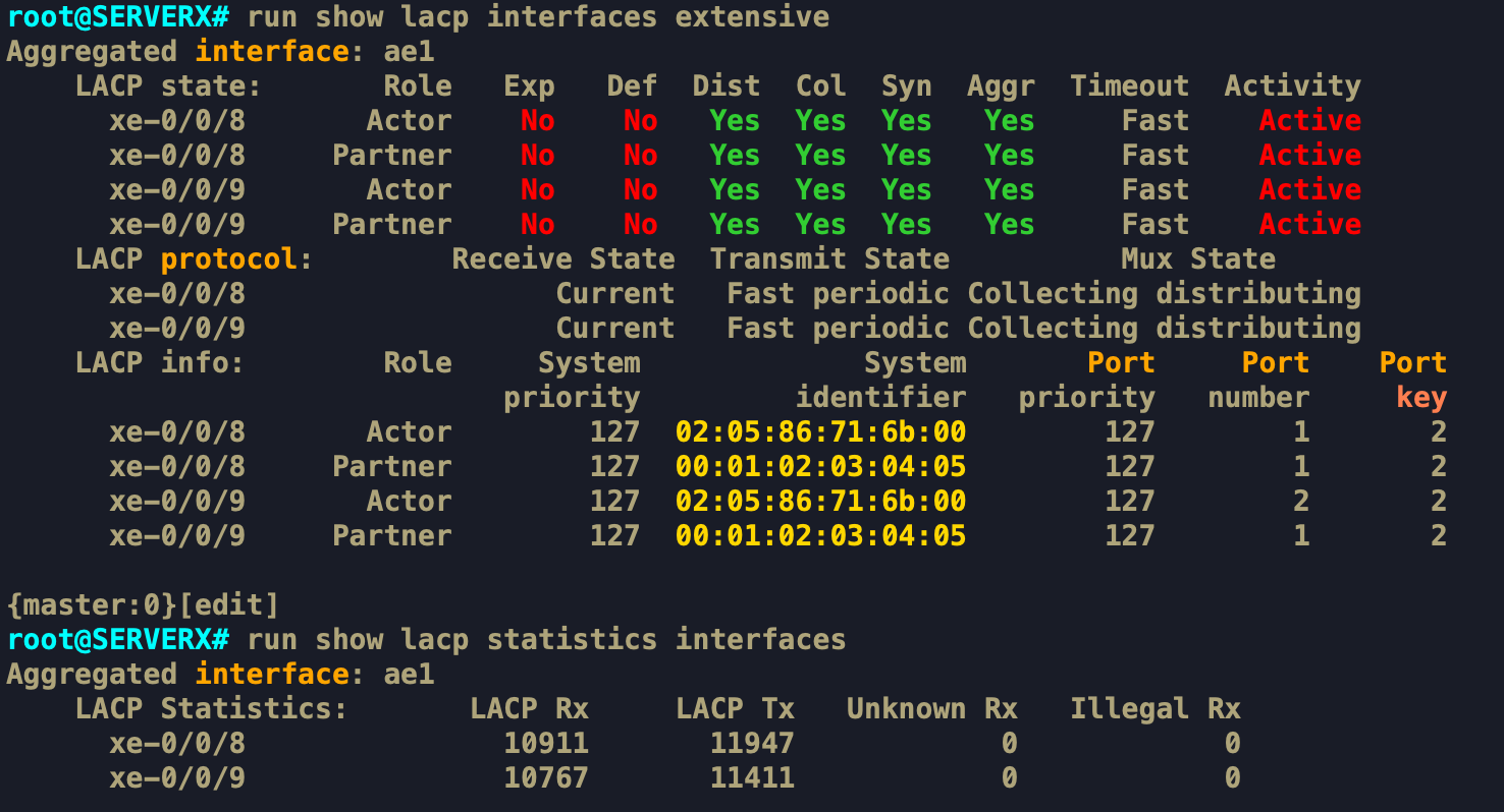 lacp interfaces extensive.png