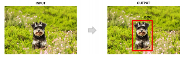 Nhiệm vụ của localization