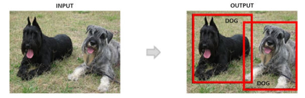 Nhiệm vụ của detection