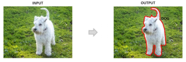 Nhiệm vụ của segmentation