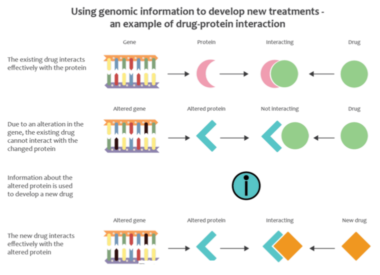 Using genomic information to develop new treatments-an example of drug protein interaction
