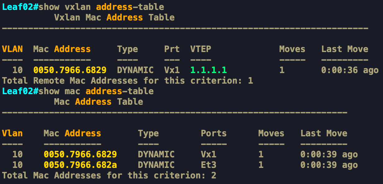 Leaf02#show vxlan address-table.png