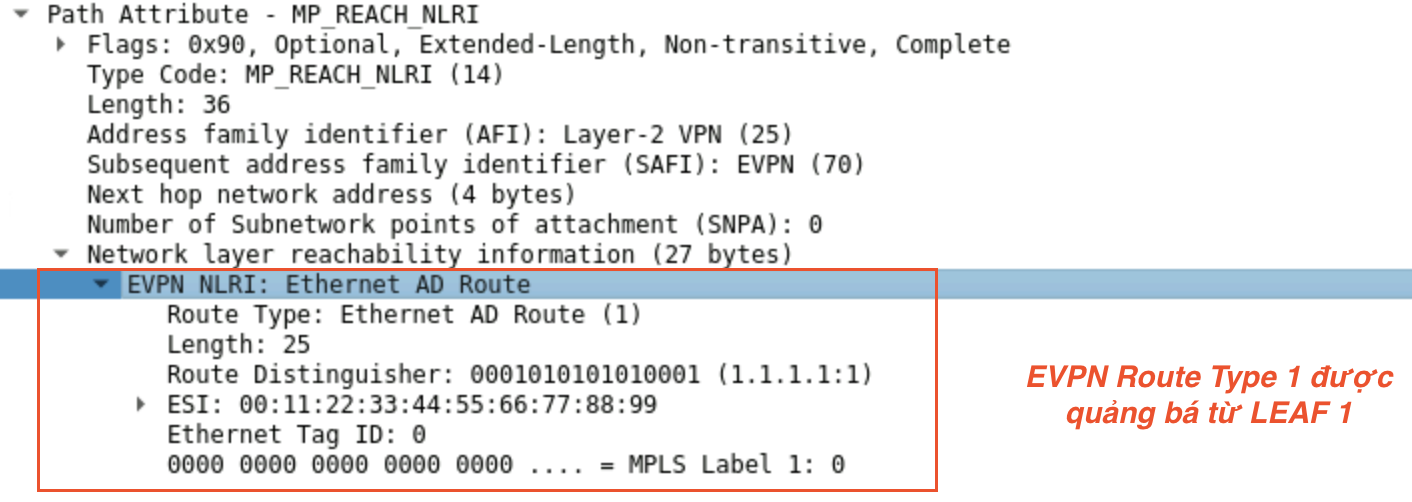 Pasted Graphic 160.png