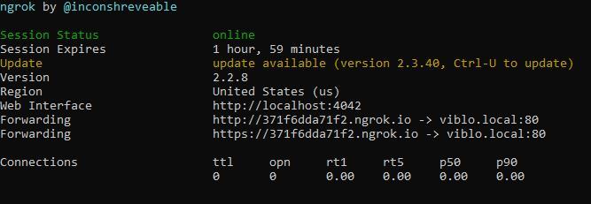 ngrok.jpg